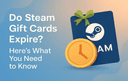 Steam Gift Card showing wallet balance and expiry information